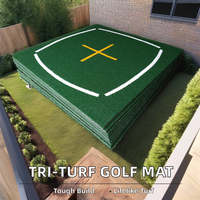 Simulateur de golf YGT YGT-3D : Cages et tapis