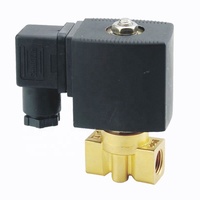 Vanne solénoïde miniature Darhor 170bar 150bar 220VAC 24VDC 1/4"BSP SS304 normalement fermée haute pression avec joint NBR