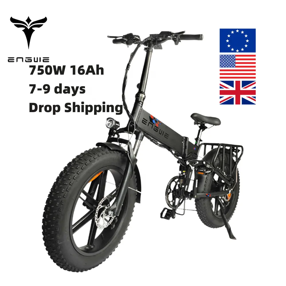 จักรยานเสือภูเขาไฟฟ้าสำหรับมืออาชีพ,ใช้กับจักรยานเสือภูเขาอังกฤษสหภาพยุโรปสหรัฐอเมริกาคลังสินค้าดรอปชิปเครื่องยนต์750W 48V 16Ah