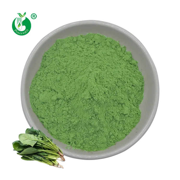 Pincredit Supply Private Label Bulk Organic Natural Pure Spinach Juice Powder