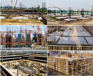 พลาสติกพีพีไม้อัดเมลามีน4x8 3x6ฟุตร้อน<span class=keywords><strong>2</strong></span> * กดชัตเตอร์ฟิล์มทะเลที่ต้องเผชิญ E1ป็อป - Product Image 6