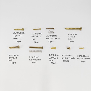 ชุดสกรูสปริงกีตาร์หลากหลายขนาด 3 สีคลาสสิก อุปกรณ์ซ่อมกีตาร์ระดับมืออาชีพ - Product Image 3