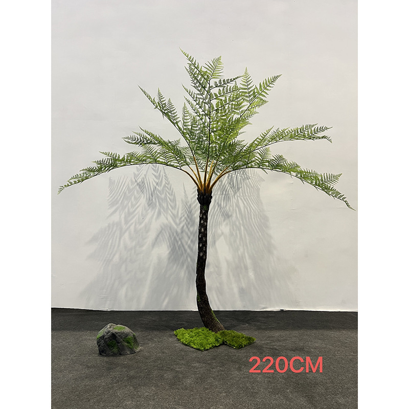 Helecho de árbol - 220cm