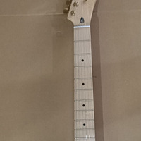 Distribusikan Gitar Listrik Neck 6 Senar 22 Fret Maple Neck