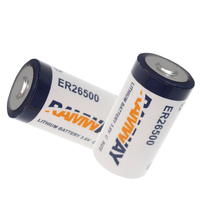 Batterie lithium-ion CKXIC ER26500 3,6V 9000mAh 240A Entrée AC/DC Montage sur panneau Internet des objets Compteur de gaz intelligent
