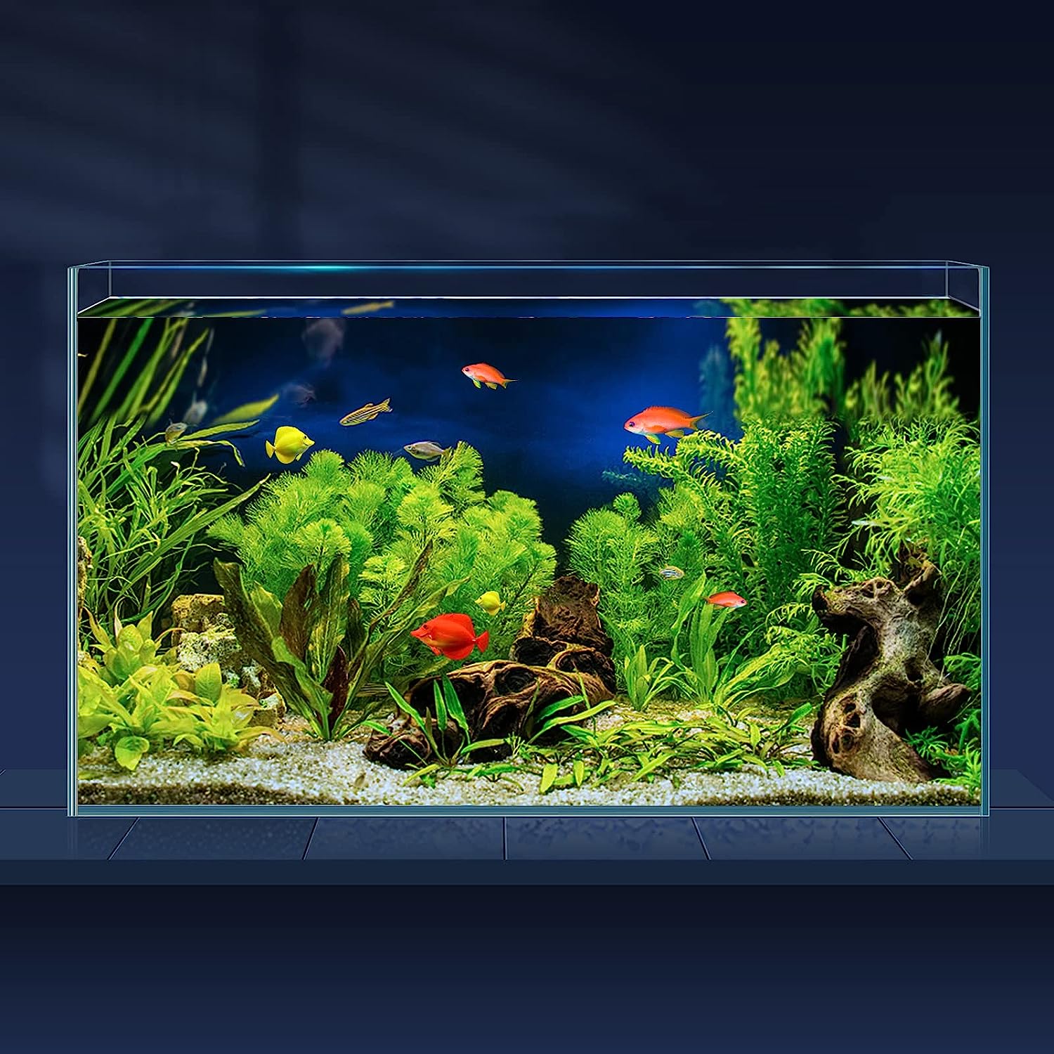 SeaClear acrylic desktop aquarium on a minimalist office desk. This for You