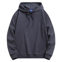 Sweat à capuche en coton éponge de haute qualité pour hommes, veste bouffante brodée avec lettres, pull à capuche avec poche gaufrée, collection automne 3D