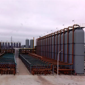 Processus <span class=keywords><strong>de</strong></span> lavage <span class=keywords><strong>de</strong></span> raffinement <span class=keywords><strong>de</strong></span> CO2 CH4 à faible coût système d'épurateur d'eau d'usine <span class=keywords><strong>de</strong></span> traitement <span class=keywords><strong>de</strong></span> méthane pour la purification <span class=keywords><strong>de</strong></span> biogaz - Product Image 5