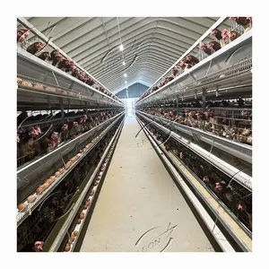 Hot Selling H Type 3-layer Egg Chicken Layer Cages for Poultry Farm