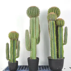 Requisiten Dekoration Großhandel Simulation Kaktus gefälschte Blume Set Kombination von Home Decoration Kaktus Topf künstliche grüne Pflanze