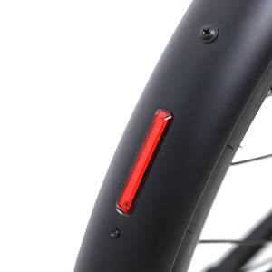 TXED Factory Wholesale 700Cx460mm <b>Tire</b> Bike Single Speed 36V/9.8AH Lithium Battery Electric City Bike Rear Hub Motor Electronic - Product Image 6