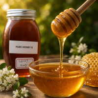 Pot en plastique ovale de 500 g de miel naturel avec couvercle argenté, miel doré pur pour le thé, le petit-déjeuner, la pâtisserie et la restauration