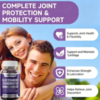 Gummies OEM ODM saveur sureau MSM Chondroïtine Glucosamine 60 unités pour adultes – Soutien articulaire, souplesse et mobilité (2 par paquet)