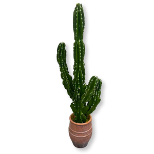 Ornements de décoration de fenêtre pour intérieur, grandes plantes, boule de pilier immortelle du Moyen-Orient, en matériau PU, <span class=keywords><strong>herbe</strong></span> artificielle, cactus - Product Image 6