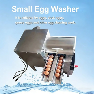 Máquina comercial multifuncional de acero inoxidable pequeña automática para lavado de huevos con circulación de agua para panadería, planta de condimentos y bodega - Product Image 2
