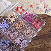 12 Grid Bunga Besar Warna-warni Campuran untuk Dekorasi Kuku DIY, Bunga Resin untuk Salon Kecantikan