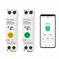 Compteur d'énergie intelligent WiFi 63A monophasé sur rail DIN avec minuterie, protection contre les surtensions, relais de commande, contrôle de la maison intelligente