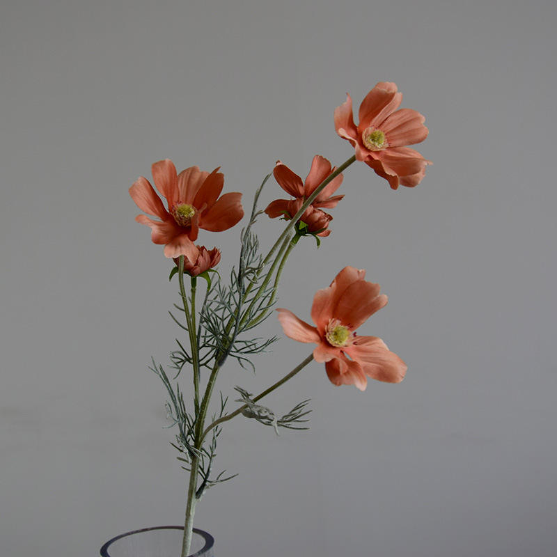 สีน้ำตาล