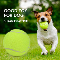 Hot-vente 9.5 ''Grande balle de tennis gonflable balle de tennis imprimée personnalisée pour le jeu de chien