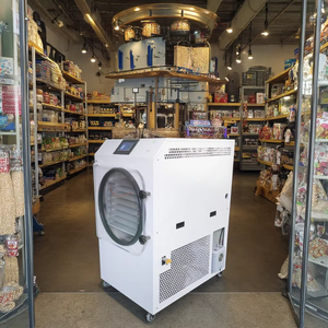 candy dried <b>Small</b> lyophilizer machine vacuum freeze <b>dryer</b> - Product Image 5