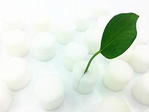 Éponge de croissance de graines de jardin, mousse hydroponique - Product Image 3