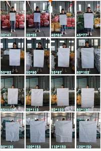 Sac en PP tissé blanc personnalisé 40x60cm, résistant à l'humidité et aux UV, pour farine, engrais, aliments pour animaux - Product Image 4