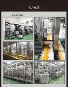 1-5t/h用于橙子，柠檬，柑橘，柚汁小型加工生产线的设备 - Product Image 5