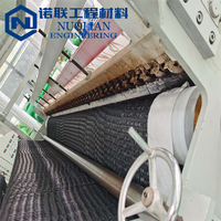 Geocomposite Drainage HDPE Mesh 3D Composite Geo Net Geonet pour le contrôle de l'érosion et la stabilisation des pentes