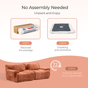 Two Seater Contemporary Modular Sectional Sofa Vacuum Packed Chenille No Assembly Leisure High Sponge Sofa Living Room Apartment - Product Image 6
