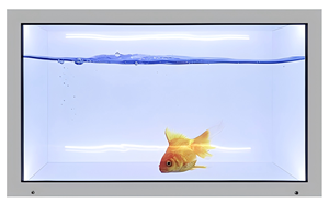 Pantalla Holográfica 3D de 86 Pulgadas, Horizontal, de Visión Directa, con Sistema Operativo Android, para Publicidad Comercial, Señalización Digital para Minoristas - Product Image 4
