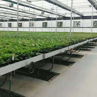 Plateaux de culture de haute qualité 4x8 bancs roulants hydroponiques Dwc système hydroponique