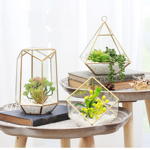 Terrario Geometrico in Vetro Stile Vintage <span class=keywords><strong>Nero</strong></span> e Oro Irregolare all'Ingrosso per Piante Succulente da Tavolo - Product Image 1