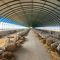 Film pour tunnel horticole 0,08 mm anti-UV, anti-buée, rétention de chaleur, plastique agricole