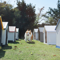 Großhandel Günstige Verkauf Große Outdoor Luxus Indoor Tragbare Hunde betten Haus Pet House