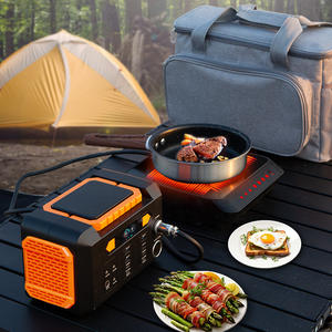 STW DC 24V double fer cuisinière électrique pour petits appareils de cuisine - Product Image 1