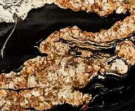 Planan — billet en granit noir du jurassique, style brésilien, exotique