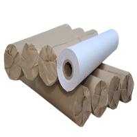 Papier Bond Biodégradable Premium 45g 47g 48g 48,8GSM en Bobines – Prix Usine Promotionnel