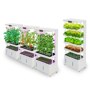 Multilayer Growing System Hydroponic Vertical Indoor Home Irrigation Hydroponics Equipment - Product Image 3