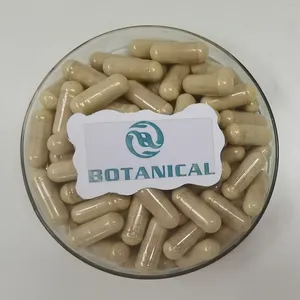 Venta directa de fábrica al por mayor extracto de raíz de Polygonum Cuspidatum Extracto de polvo de resveratrol