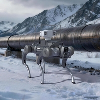 Robot chien télécommandé