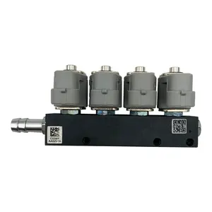 4 Cyl cng lpg injector rail for sequential injection system