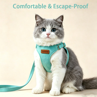 Harnais et laisse pour animaux de compagnie en faux daim doux, ensemble réglable anti-évasion, gilet pour chien et chat, logo personnalisé, sangle de promenade pour petit chiot