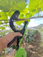 Machine à attacher les plantes agricoles OEM compatible avec le ruban standard et les agrafes 604C