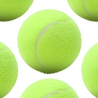 Lot de 6 balles de tennis d'entraînement certifiées ITF - Matériau en caoutchouc à haute élasticité, jouet pour animaux de compagnie
