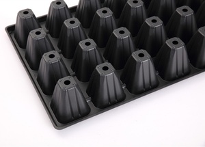 32 cellules Grand Plateau de Semis pour les Fraises et les Melons XQA32 - Product Image 2
