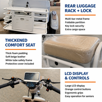 Tricycle électrique pour adultes à 2 places, tricycle électrique pour seniors, scooter de loisirs à 3 roues avec paniers avant et arrière