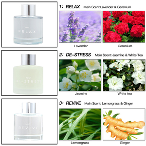 Nước Hoa Tại Phòng Les Parfum De Chambre Nước Hoa Dạng Lỏng Cho Phòng - Product Image 2