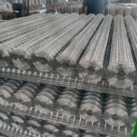 Rouleau de treillis métallique en acier galvanisé, treillis en acier revêtu de zinc à vendre, vente en gros d'usine