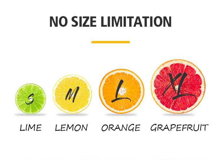 New hot selling household appliances stainless steel 160W powerful all copper motor citrus juicer