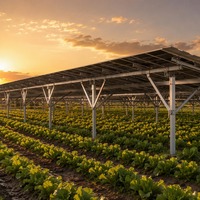 Système de montage solaire agrivoltaïque sur champ de légumes, structure de support photovoltaïque au sol pour ferme commerciale